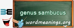 WordMeaning blackboard for genus sambucus